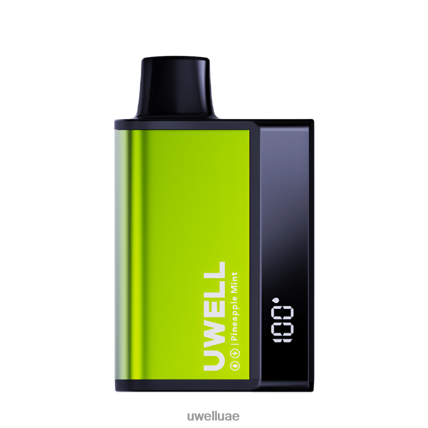 UWELL DL8000 vape القابل للتصرف نعناع أناناس 40H4P4284 | UWELL VAPE سعر